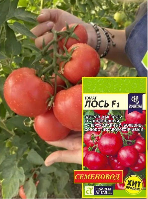 https://cdn1.ozone.ru/s3/multimedia-7/6774764371.jpg