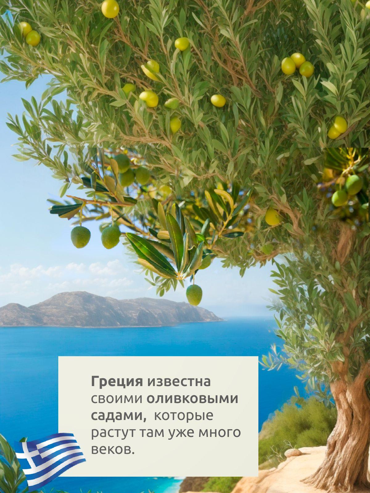 https://cdn1.ozone.ru/s3/multimedia-7/6858623131.jpg