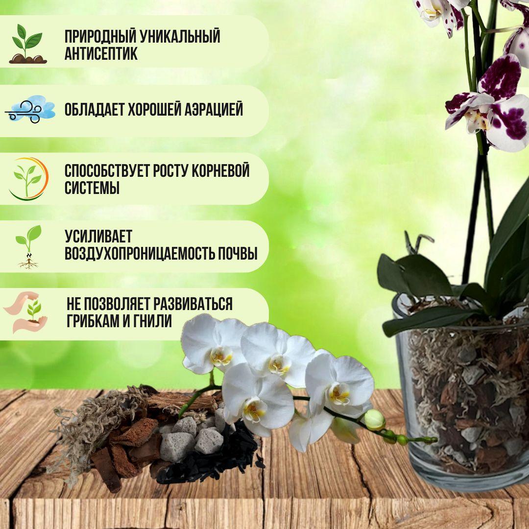 https://cdn1.ozone.ru/s3/multimedia-7/6874329931.jpg