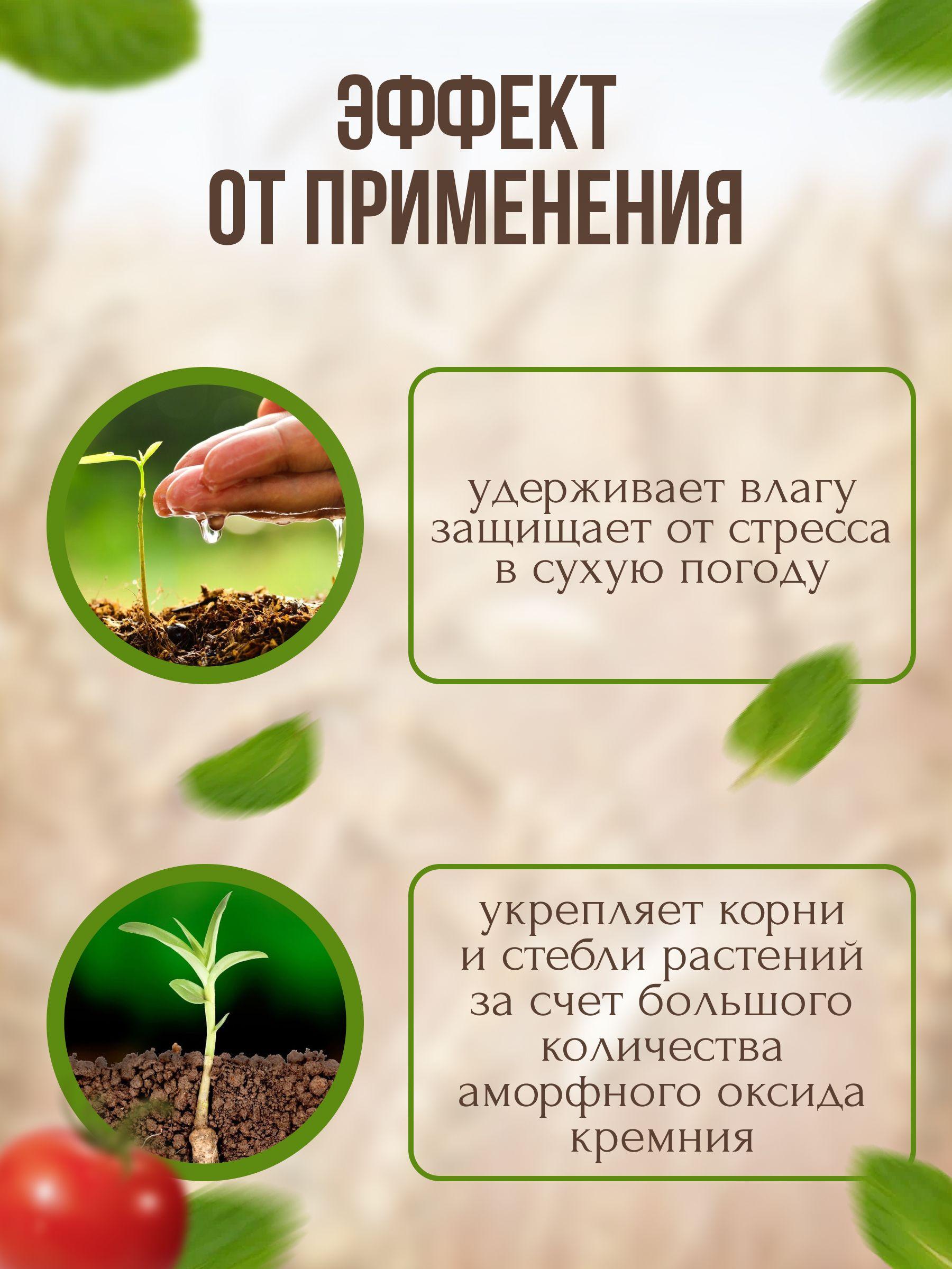 https://cdn1.ozone.ru/s3/multimedia-8/6538796312.jpg