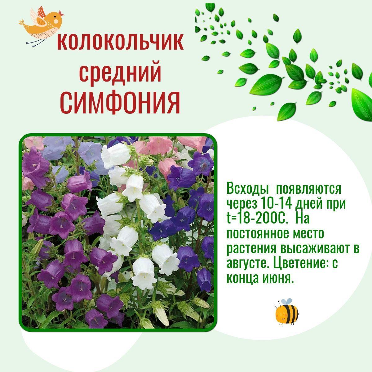 https://cdn1.ozone.ru/s3/multimedia-8/6790444820.jpg