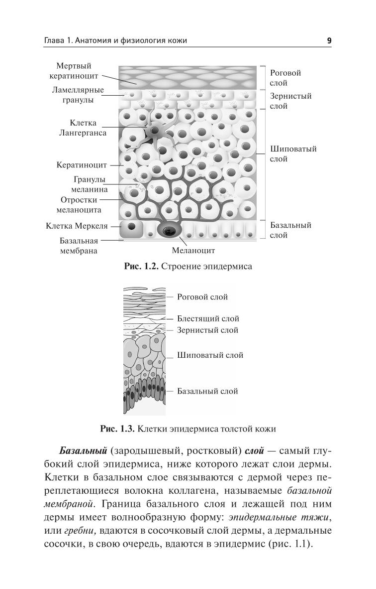 https://cdn1.ozone.ru/s3/multimedia-9/6191984481.jpg