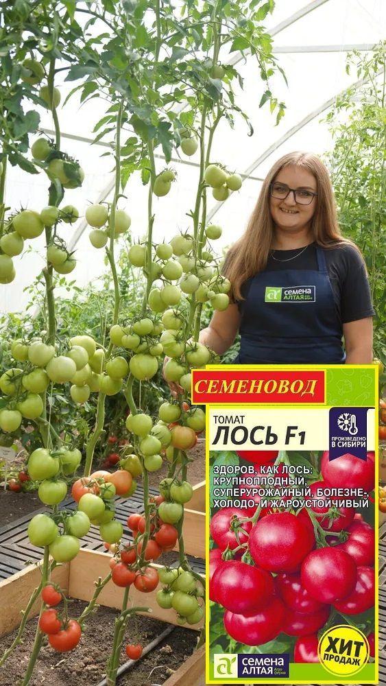 https://cdn1.ozone.ru/s3/multimedia-9/6774764373.jpg