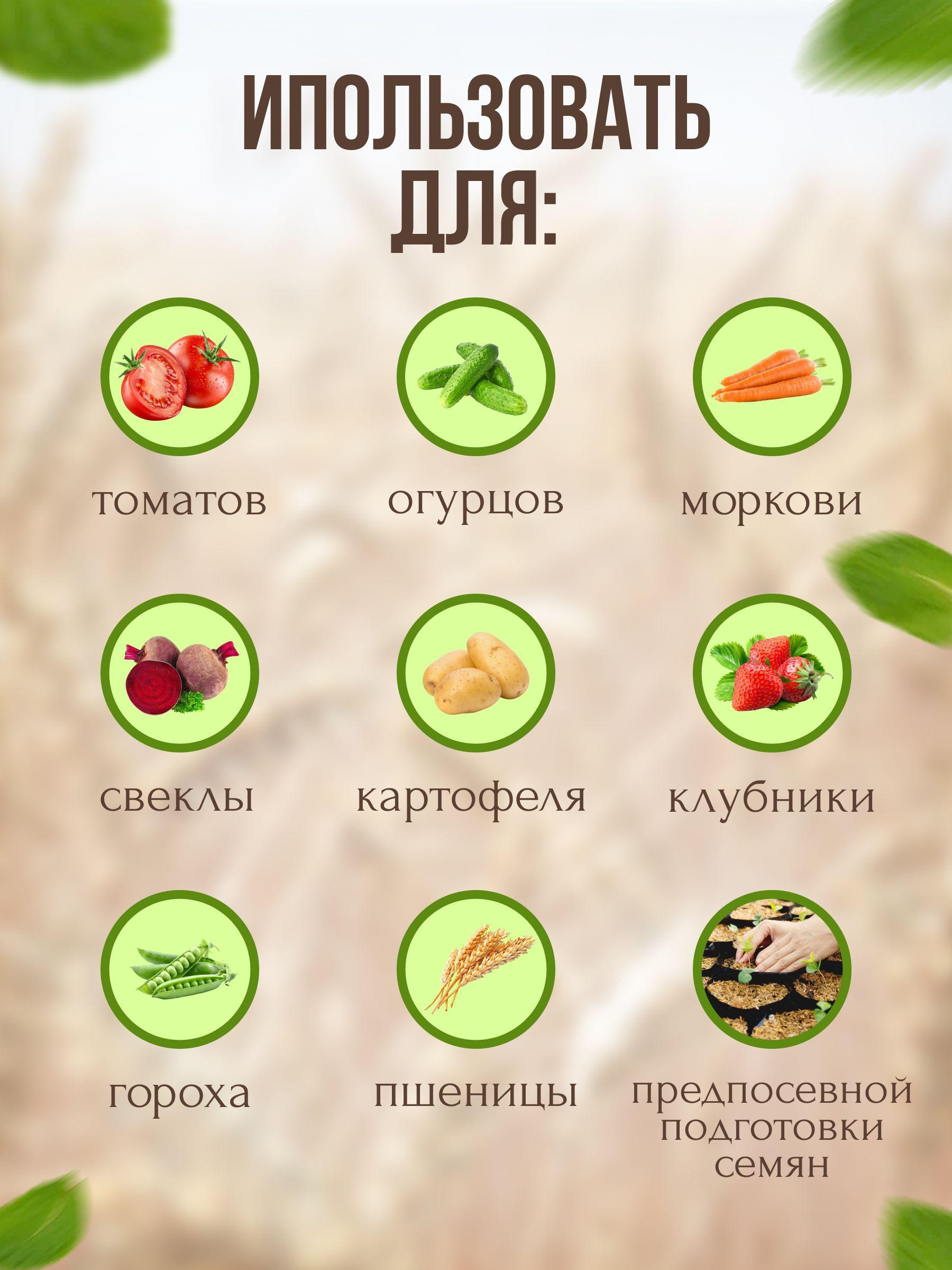 https://cdn1.ozone.ru/s3/multimedia-a/6538796314.jpg