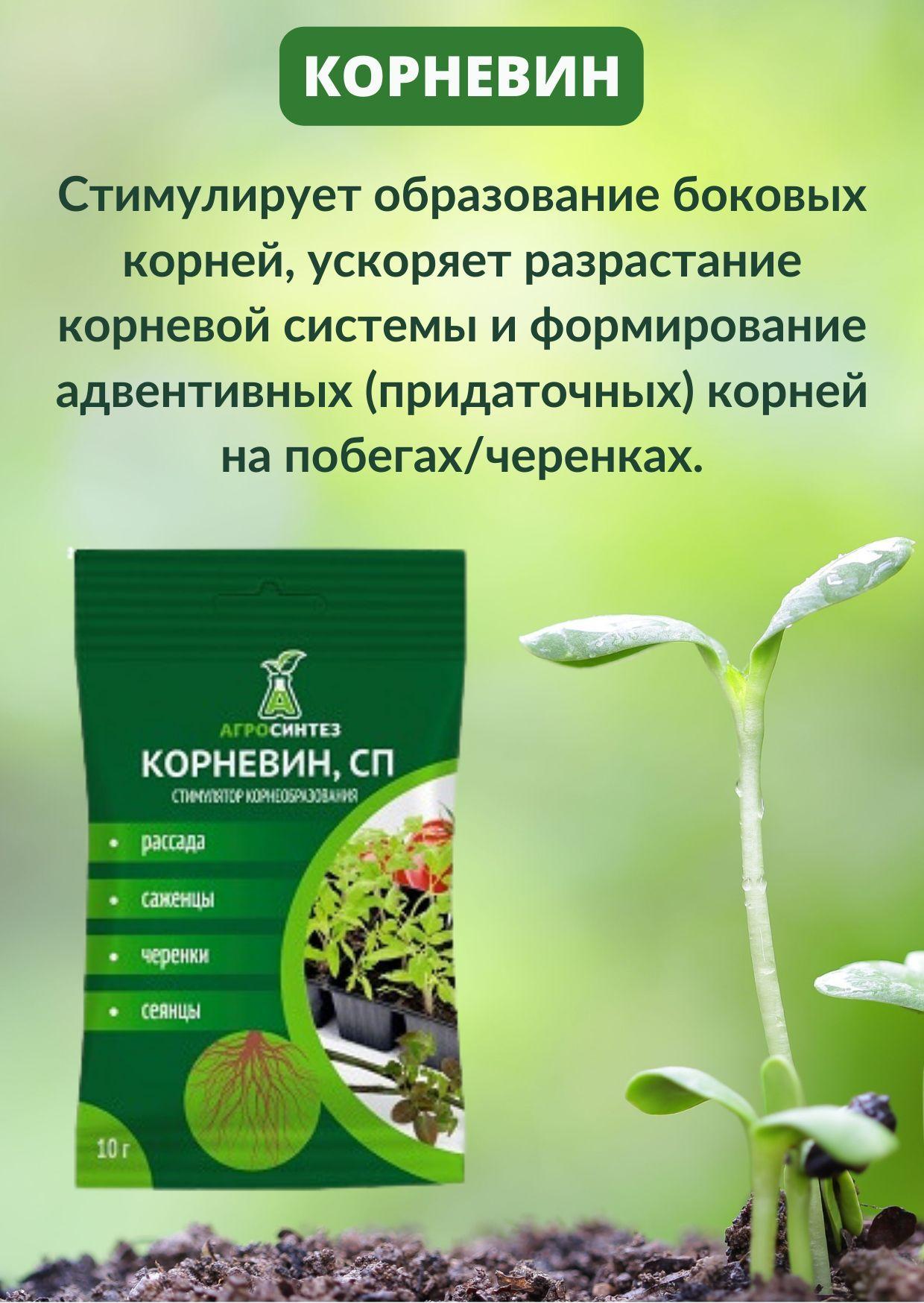 https://cdn1.ozone.ru/s3/multimedia-a/6599946430.jpg