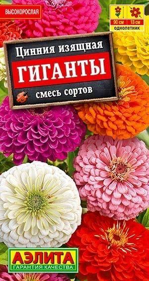 ЦИННИЯ ГИГАНТЫ. Семена. Вес 0,5 гр. Плотные георгиновидные соцветия диаметром до 13 см.