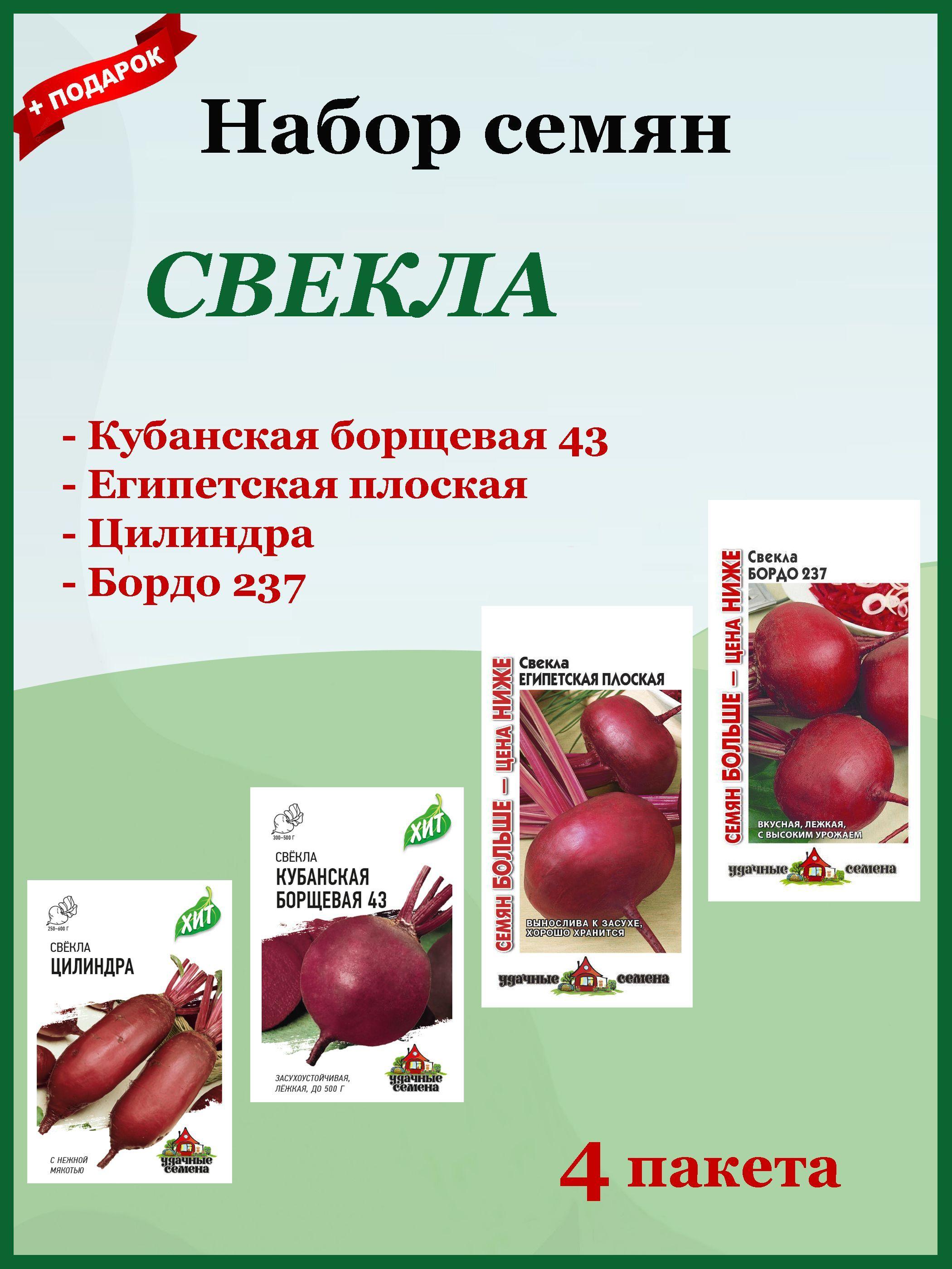 Семена Свекла Набор 4 шт. (Гавриш) Бордо 237, Цилиндра, Египетская плоская, Кубанская Борщевая.