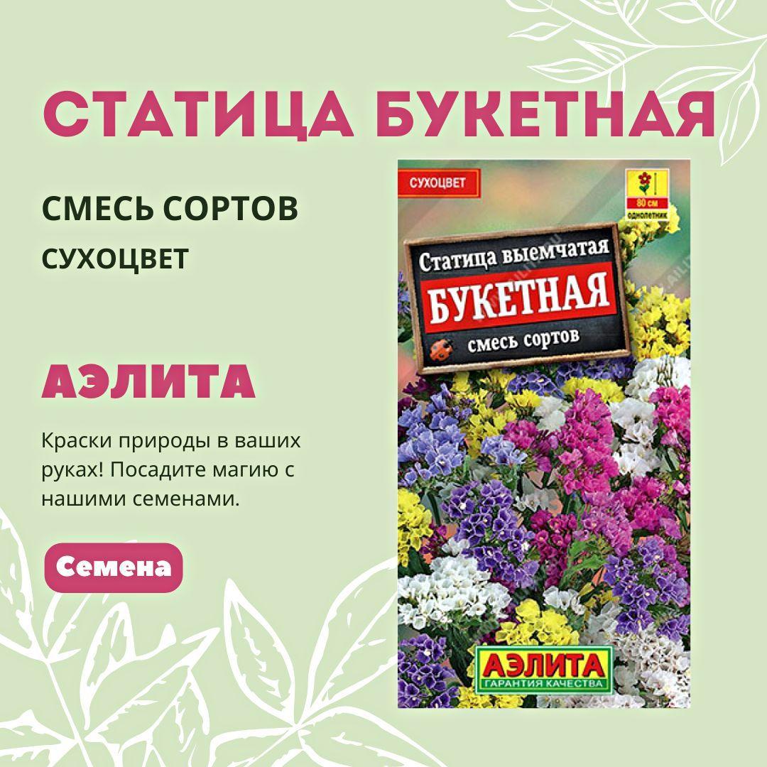 Статица Букетная, смесь сортов, семена Аэлита