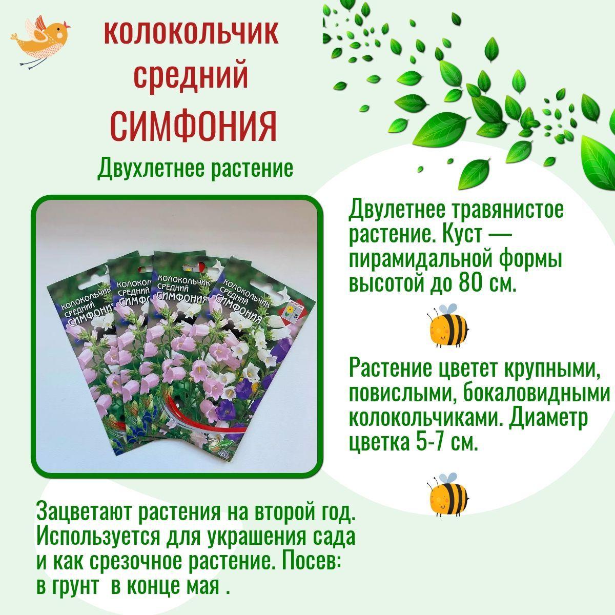 https://cdn1.ozone.ru/s3/multimedia-a/6790444822.jpg