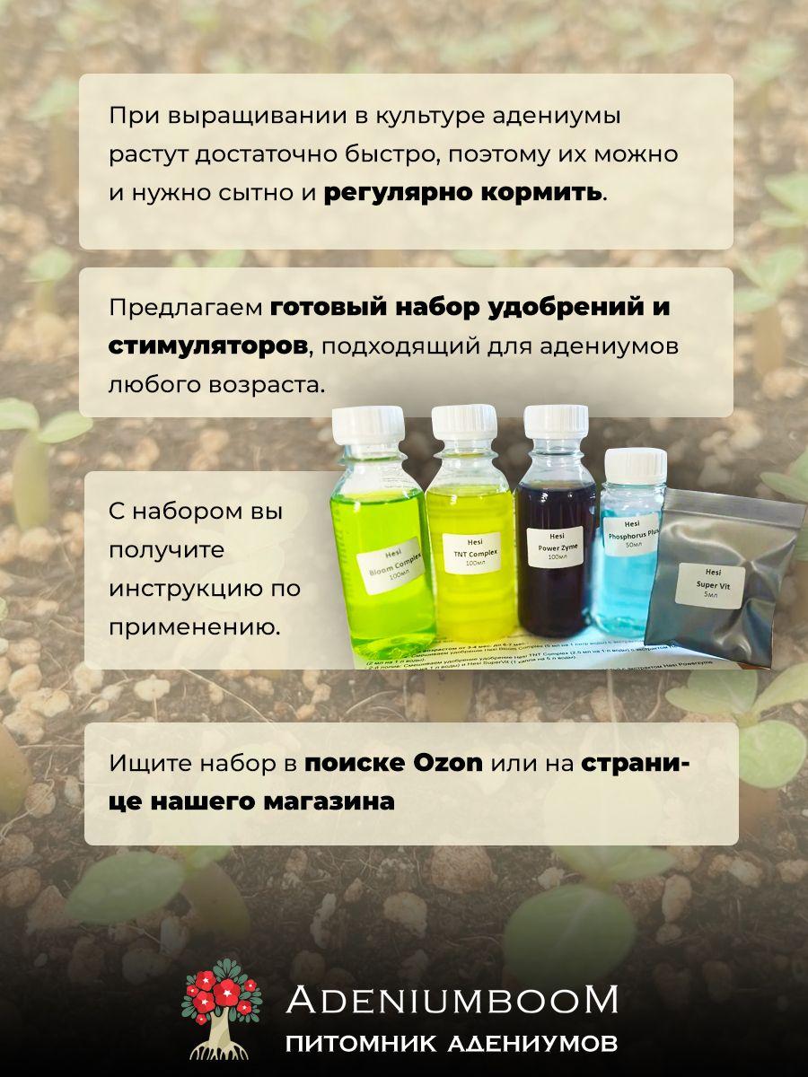 https://cdn1.ozone.ru/s3/multimedia-b/6560384291.jpg