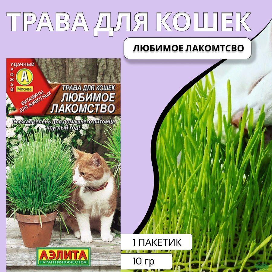 Трава для кошек, семена для проращивания, травка, лакомство, Аэлита 1 пакетик 10г