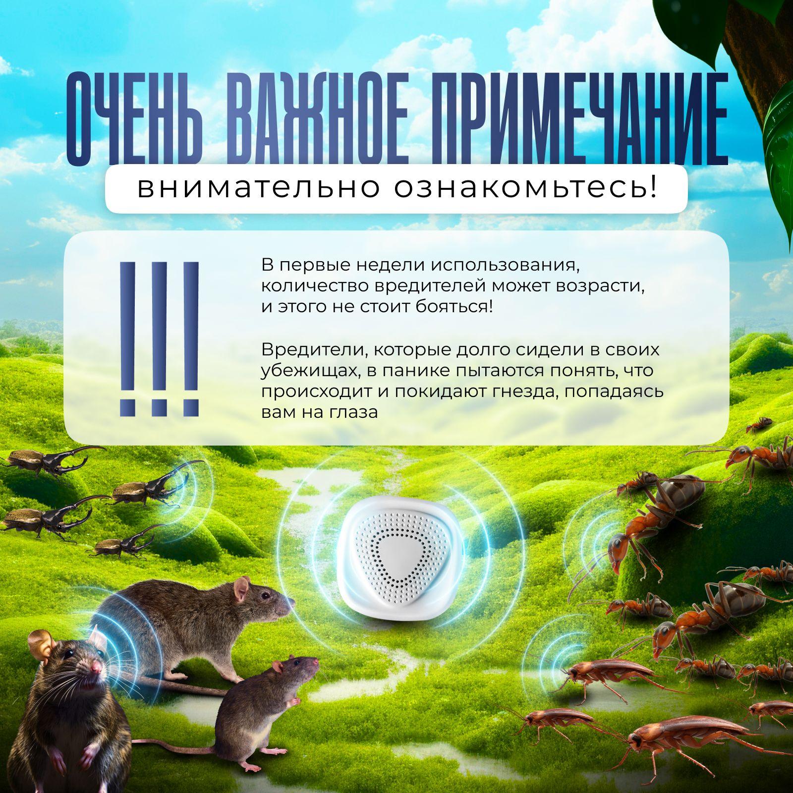 https://cdn1.ozone.ru/s3/multimedia-b/6891103955.jpg