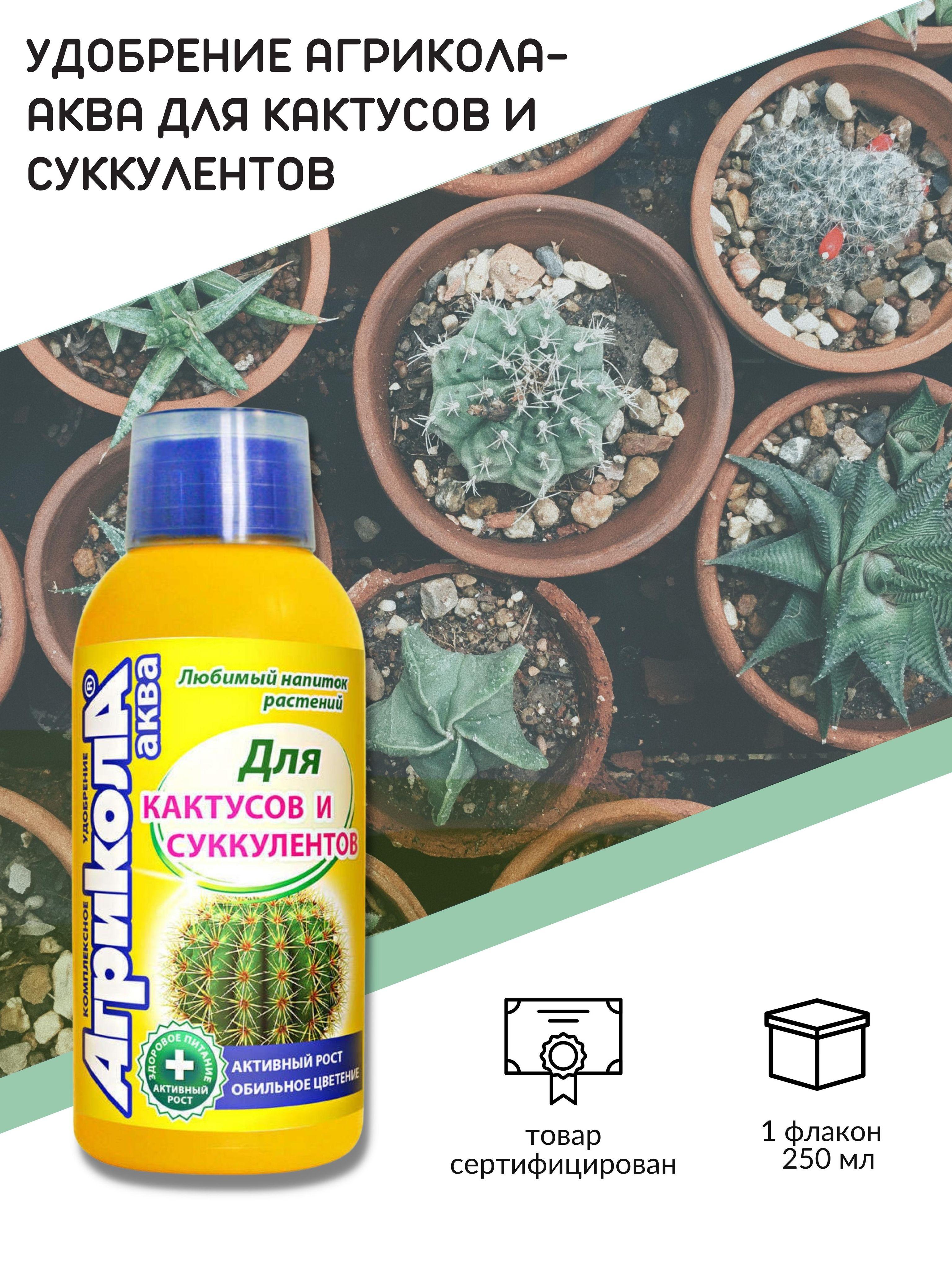 https://cdn1.ozone.ru/s3/multimedia-c/6565221036.jpg