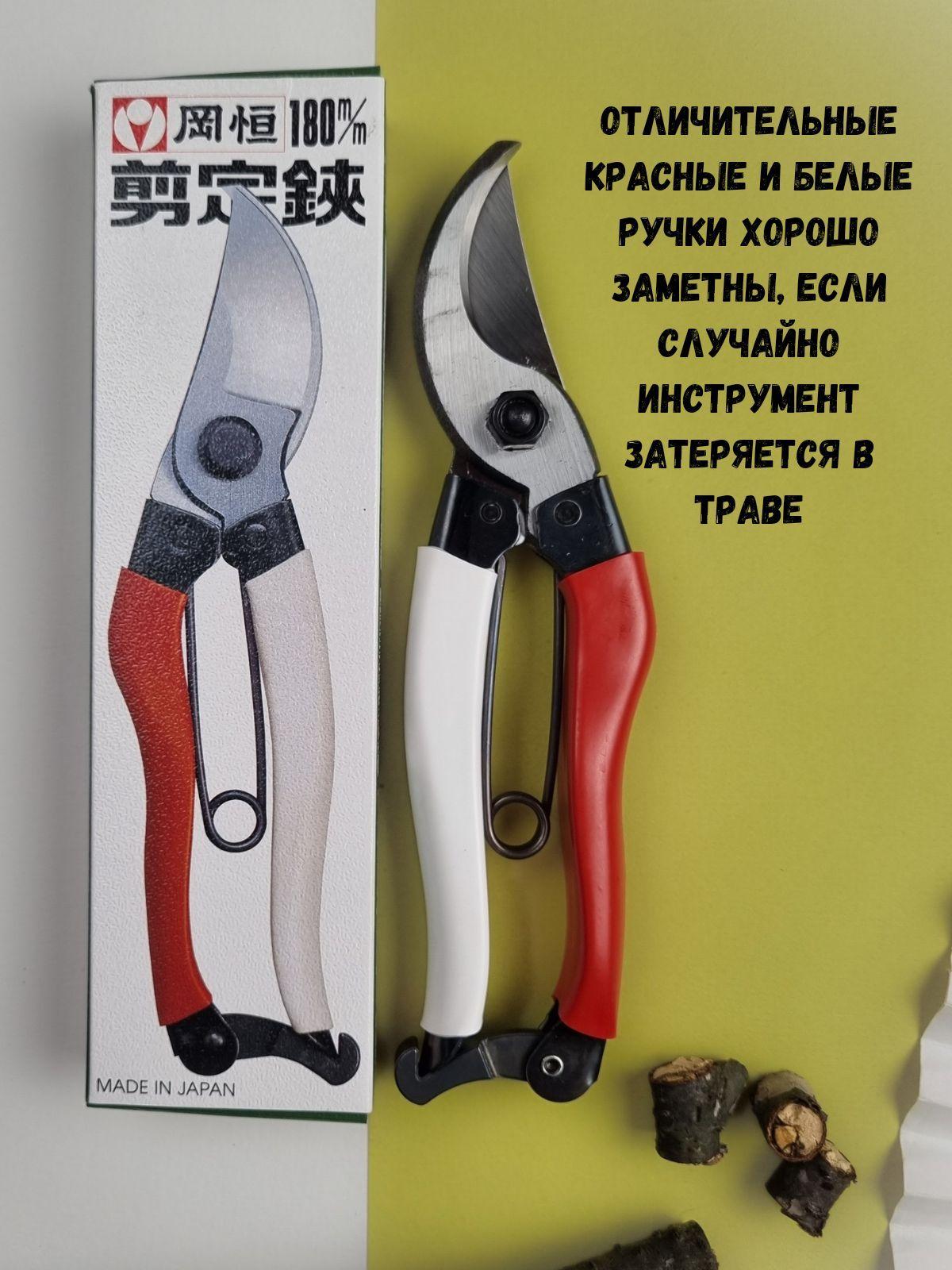 https://cdn1.ozone.ru/s3/multimedia-c/6743146800.jpg