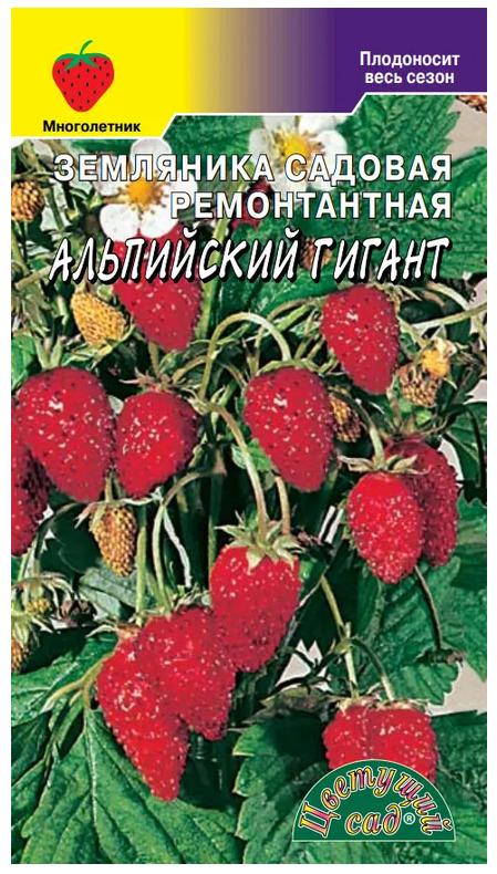 Земляника (клубника) Альпийский гигант (семена Цветущий сад), 0,03 г. Подходит для выращивания на подоконнике в горшке!