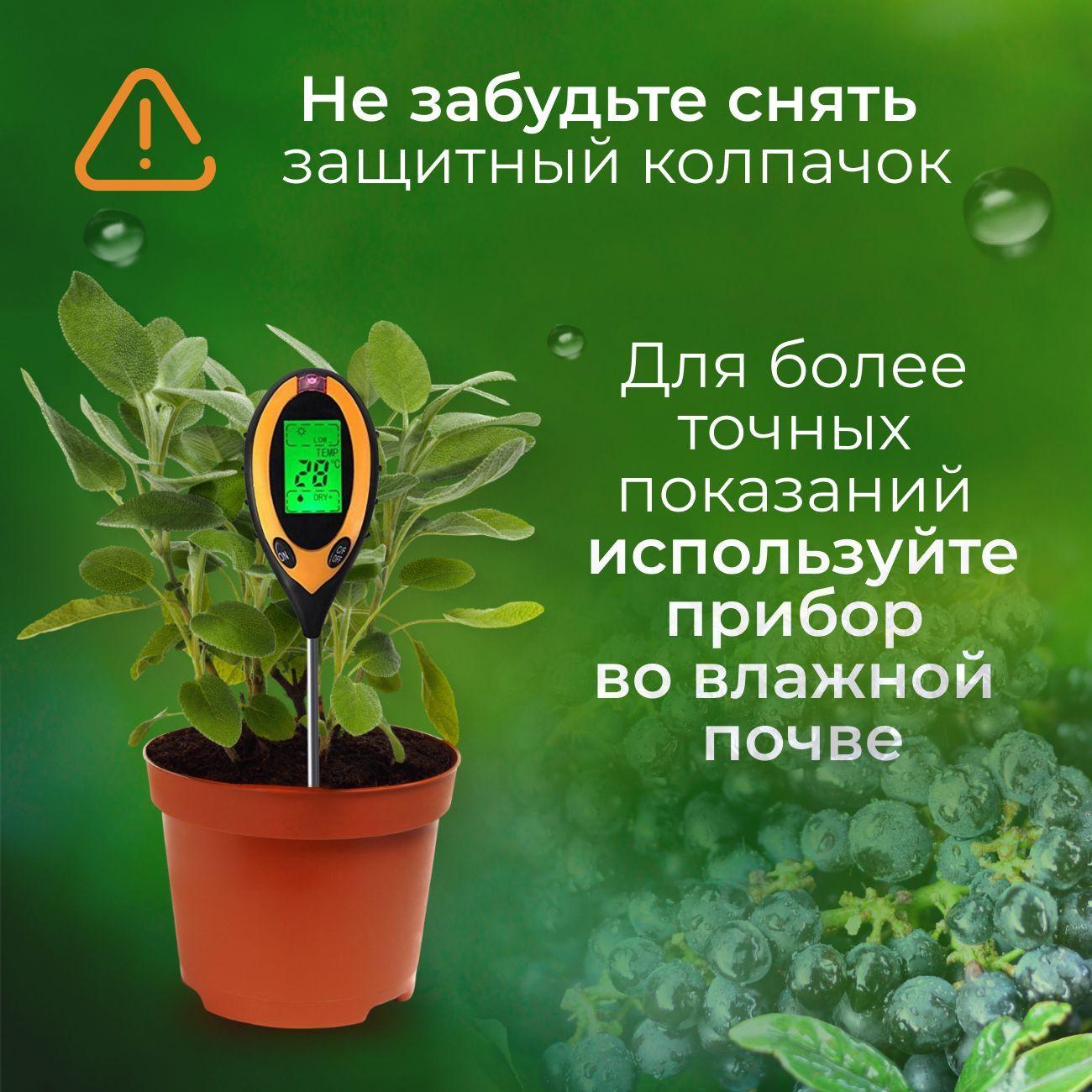 https://cdn1.ozone.ru/s3/multimedia-d/6672212473.jpg