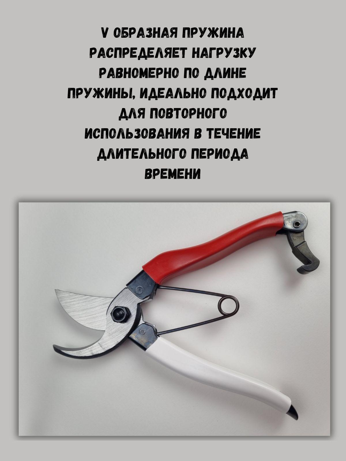 https://cdn1.ozone.ru/s3/multimedia-d/6743146801.jpg