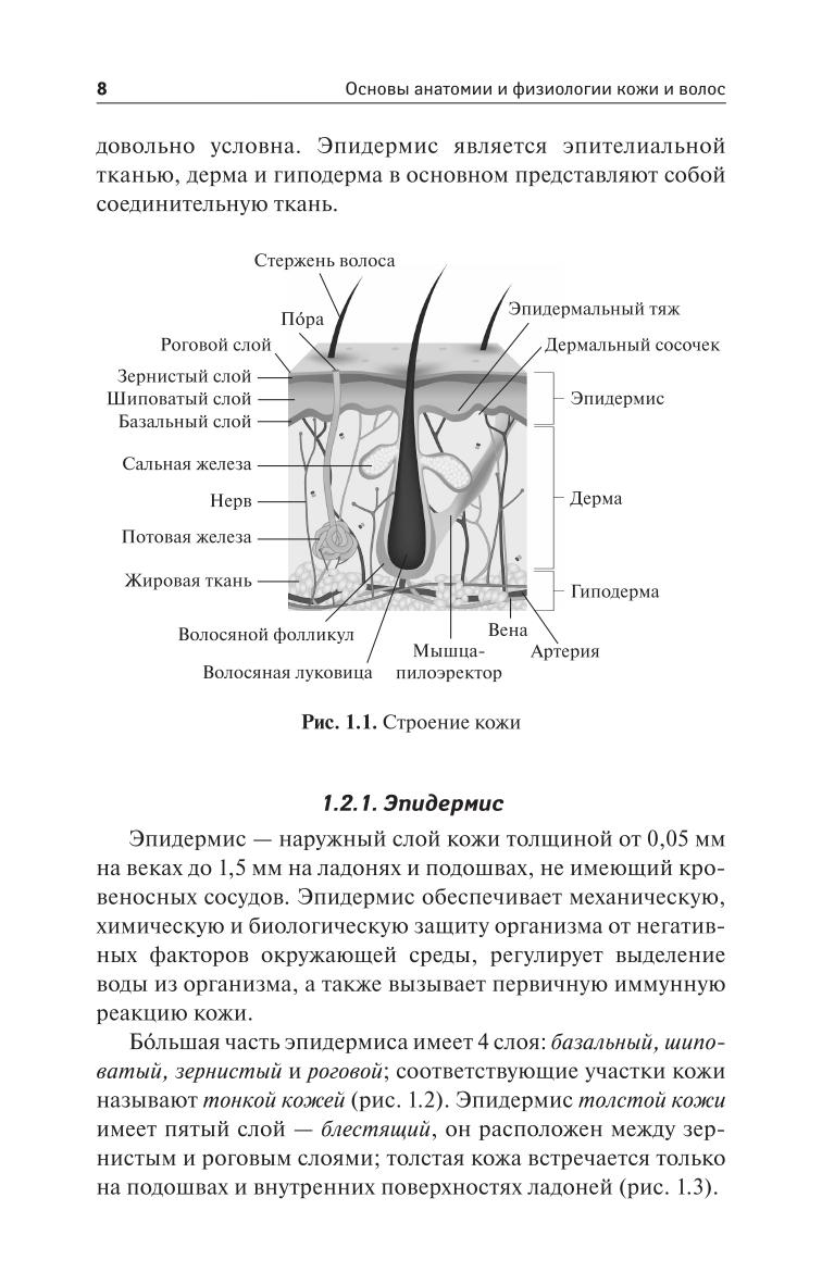 https://cdn1.ozone.ru/s3/multimedia-e/6191985314.jpg