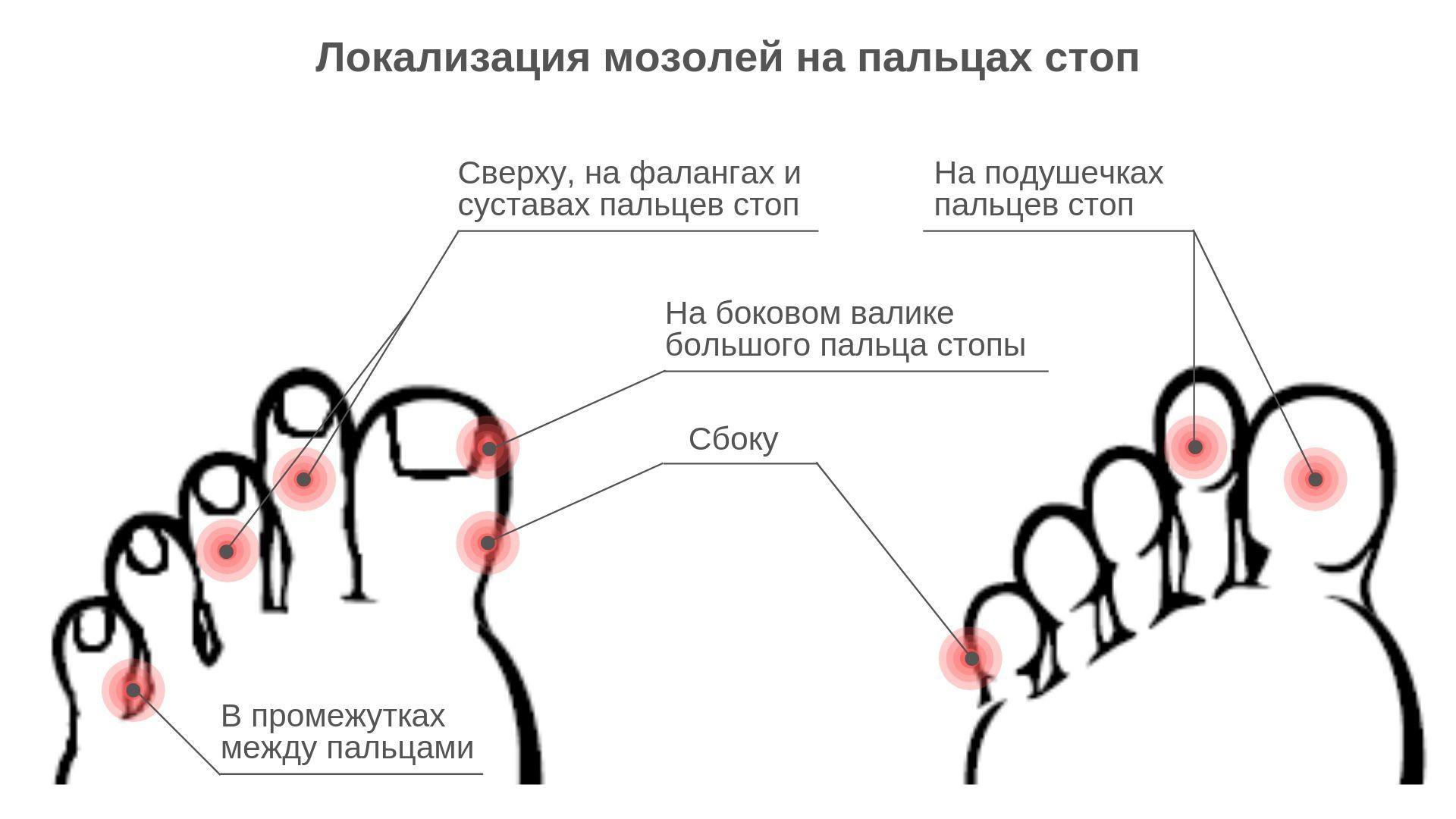 https://cdn1.ozone.ru/s3/multimedia-e/6672588854.jpg