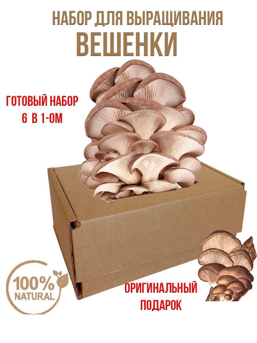 Simple Food Organic Набор для выращивания