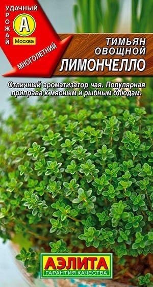 ТИМЬЯН ОВОЩНОЙ ЛИМОНЧЕЛЛО. Семена. Вес 0,2 гр. Многолетнее, ароматное, неприхотливое растение.