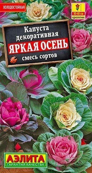 КАПУСТА ДЕКОРАТИВНАЯ Яркая осень смесь. Семена. Вес 0,1 гр. Для осеннего оформления сада. Аэлита