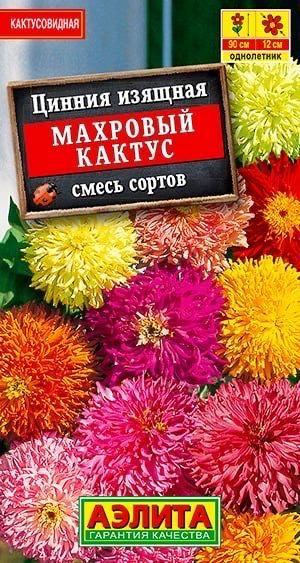 ЦИННИЯ МАХРОВЫЙ КАКТУС. Семена. Вес 0,3 гр. Высокорослая смесь с оригинальными соцветиями.