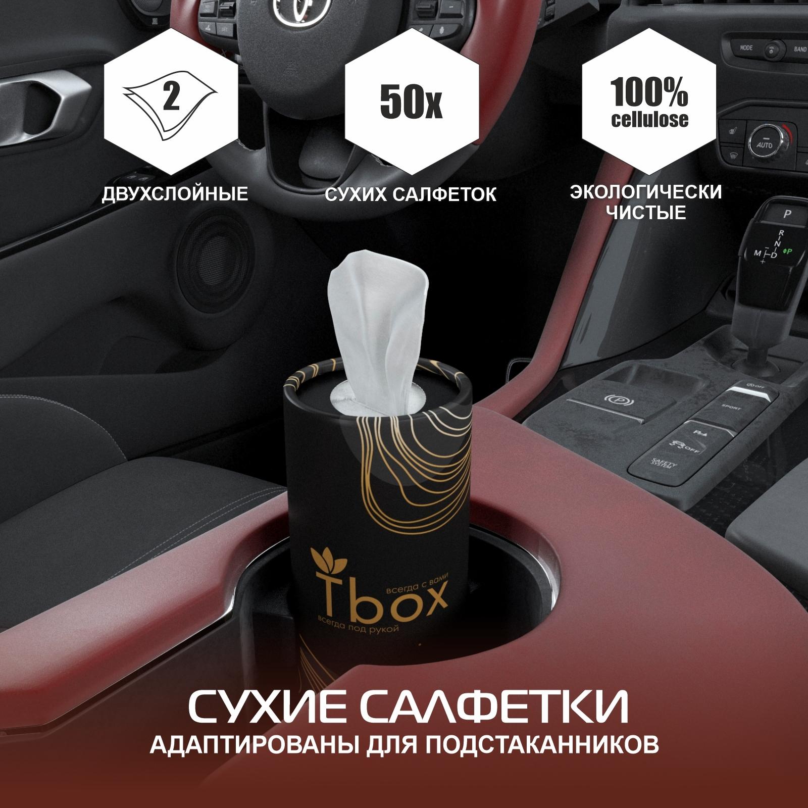 Салфетки бумажные в тубусе Tbox для авто черный (50 шт в упаковке)