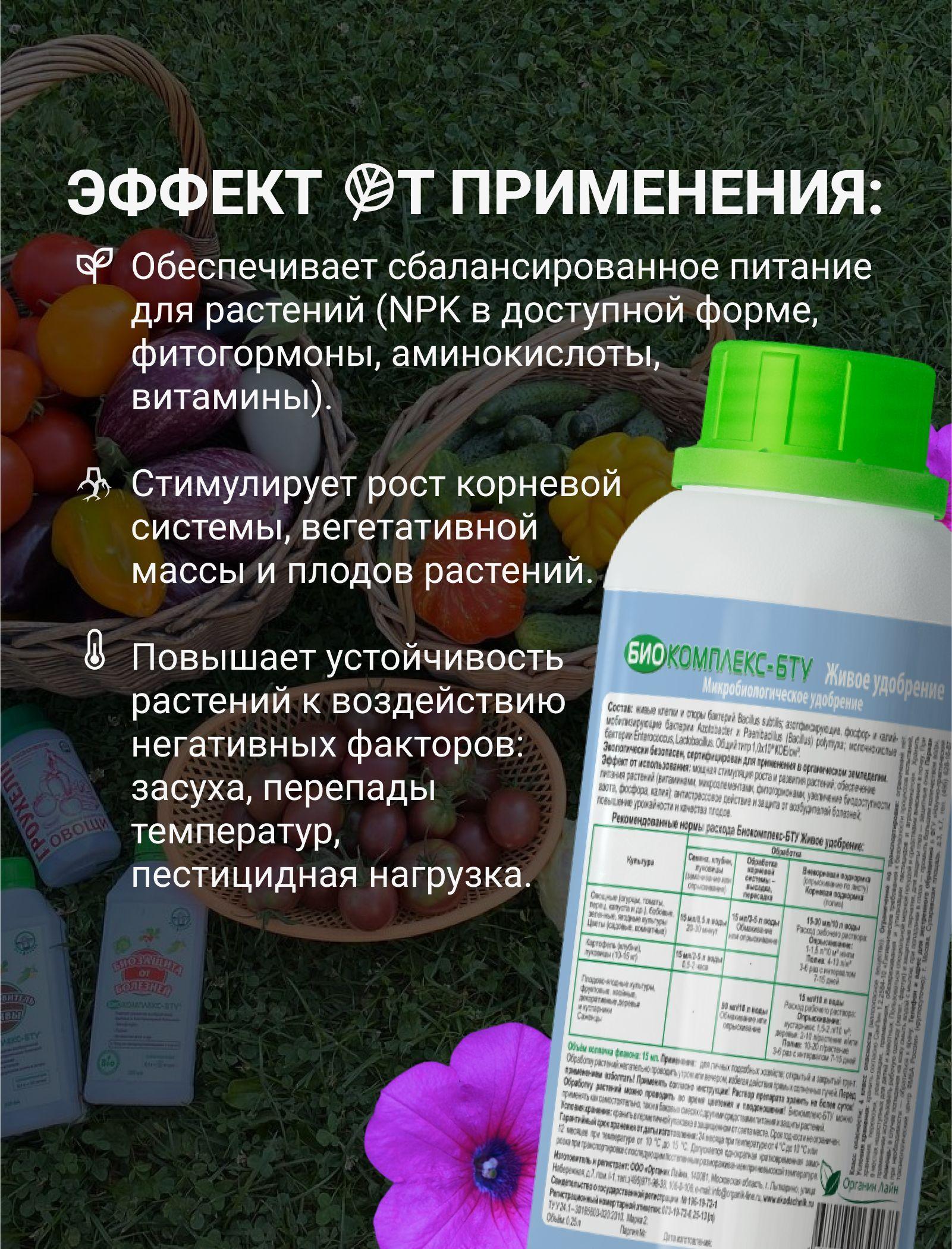 https://cdn1.ozone.ru/s3/multimedia-g/6620666488.jpg