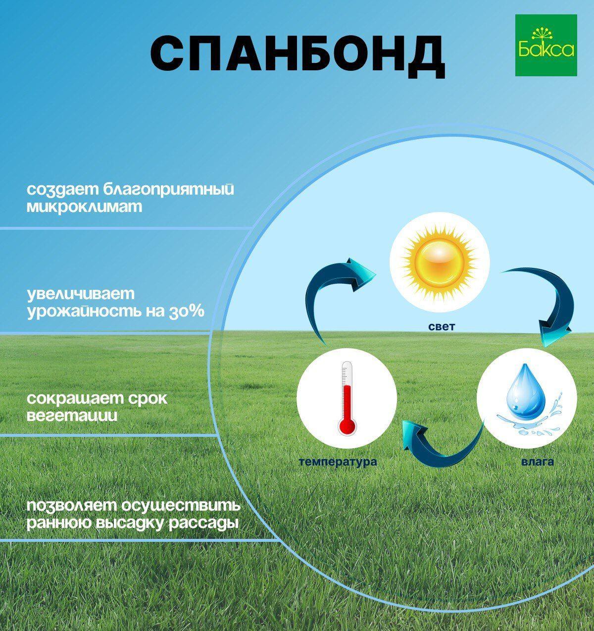 https://cdn1.ozone.ru/s3/multimedia-g/6621964648.jpg