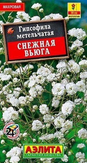 ГИПСОФИЛА МАХРОВАЯ СНЕЖНАЯ ВЬЮГА. Семена. Вес 0,05 гр. Неприхотливый высокодекоративный многолетник.