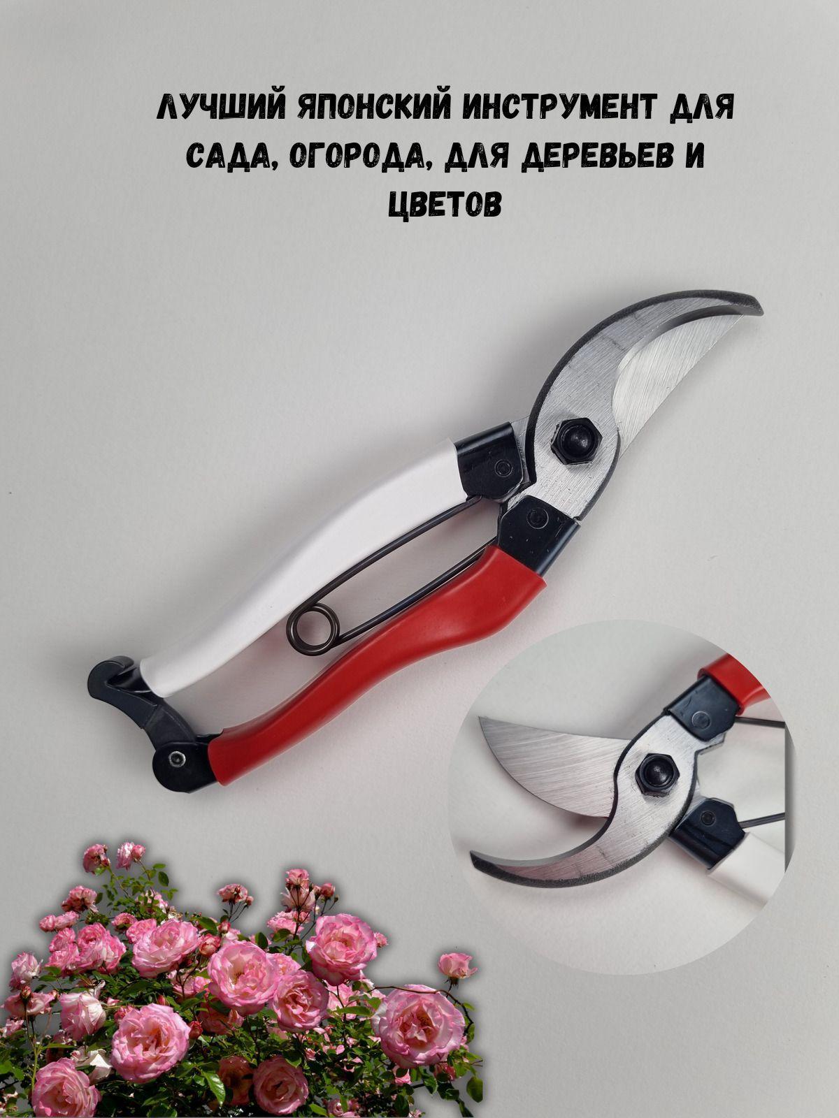 https://cdn1.ozone.ru/s3/multimedia-g/6743146804.jpg