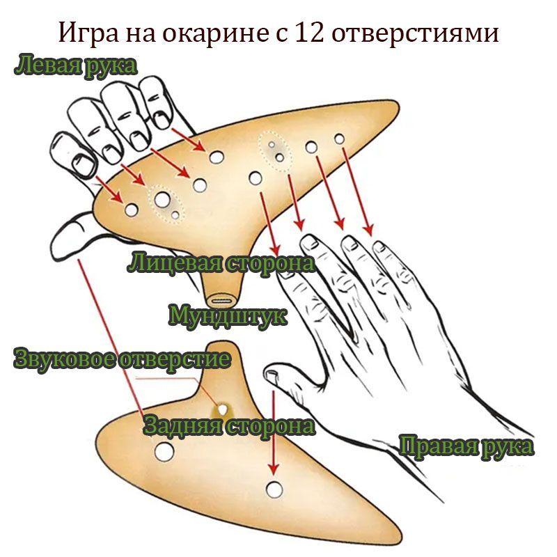 https://cdn1.ozone.ru/s3/multimedia-g/6760868380.jpg