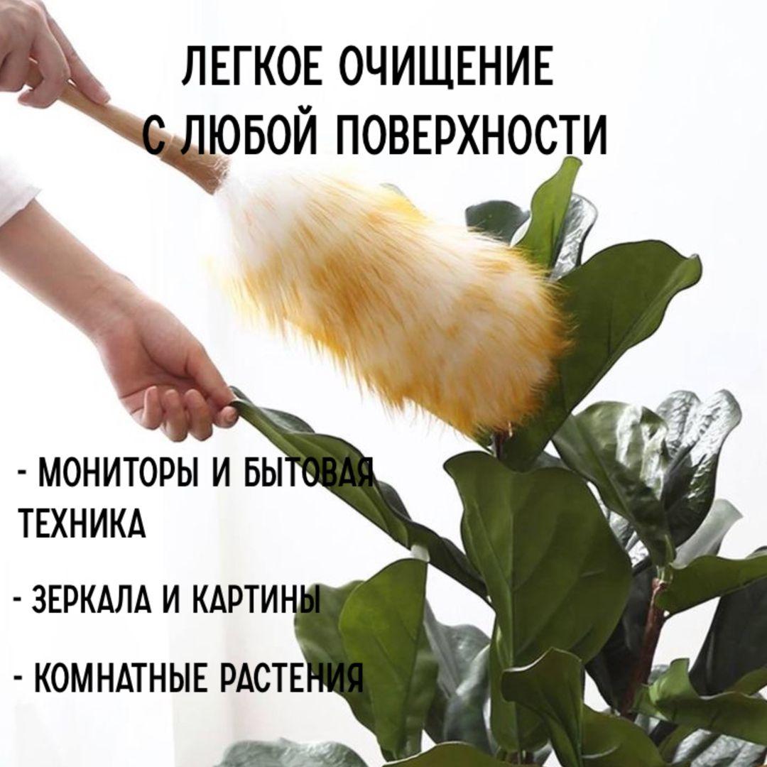 https://cdn1.ozone.ru/s3/multimedia-g/6872146072.jpg