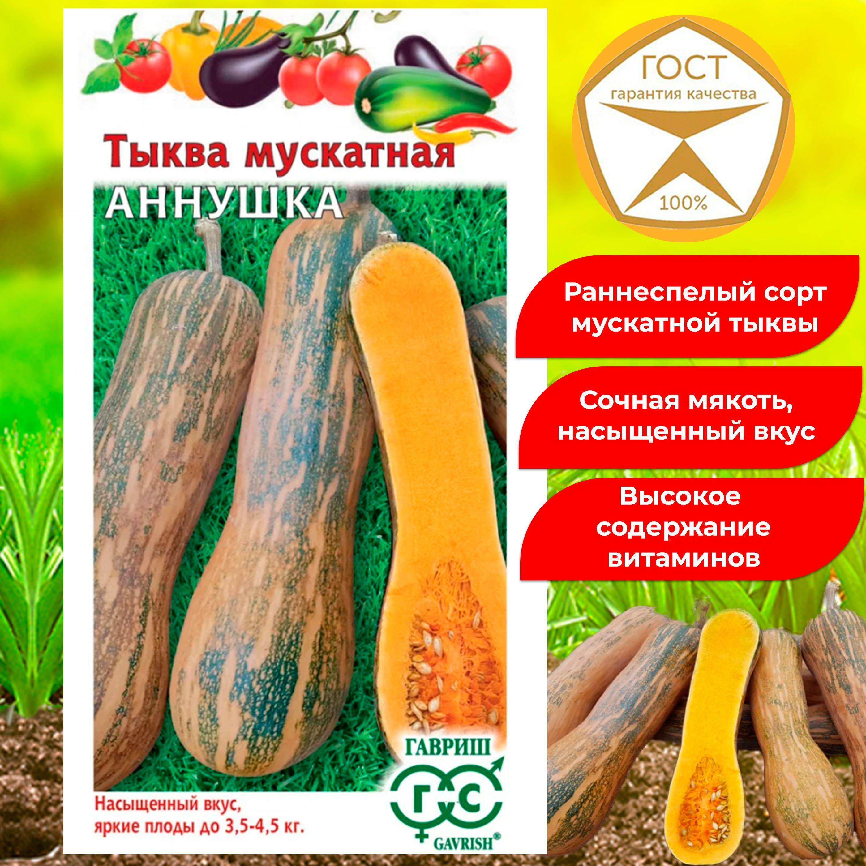 Семена тыквы мускатной Аннушка, урожайный сорт.