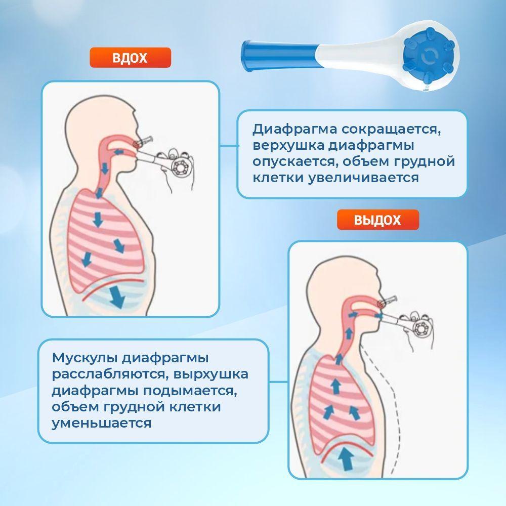 https://cdn1.ozone.ru/s3/multimedia-h/6784898957.jpg