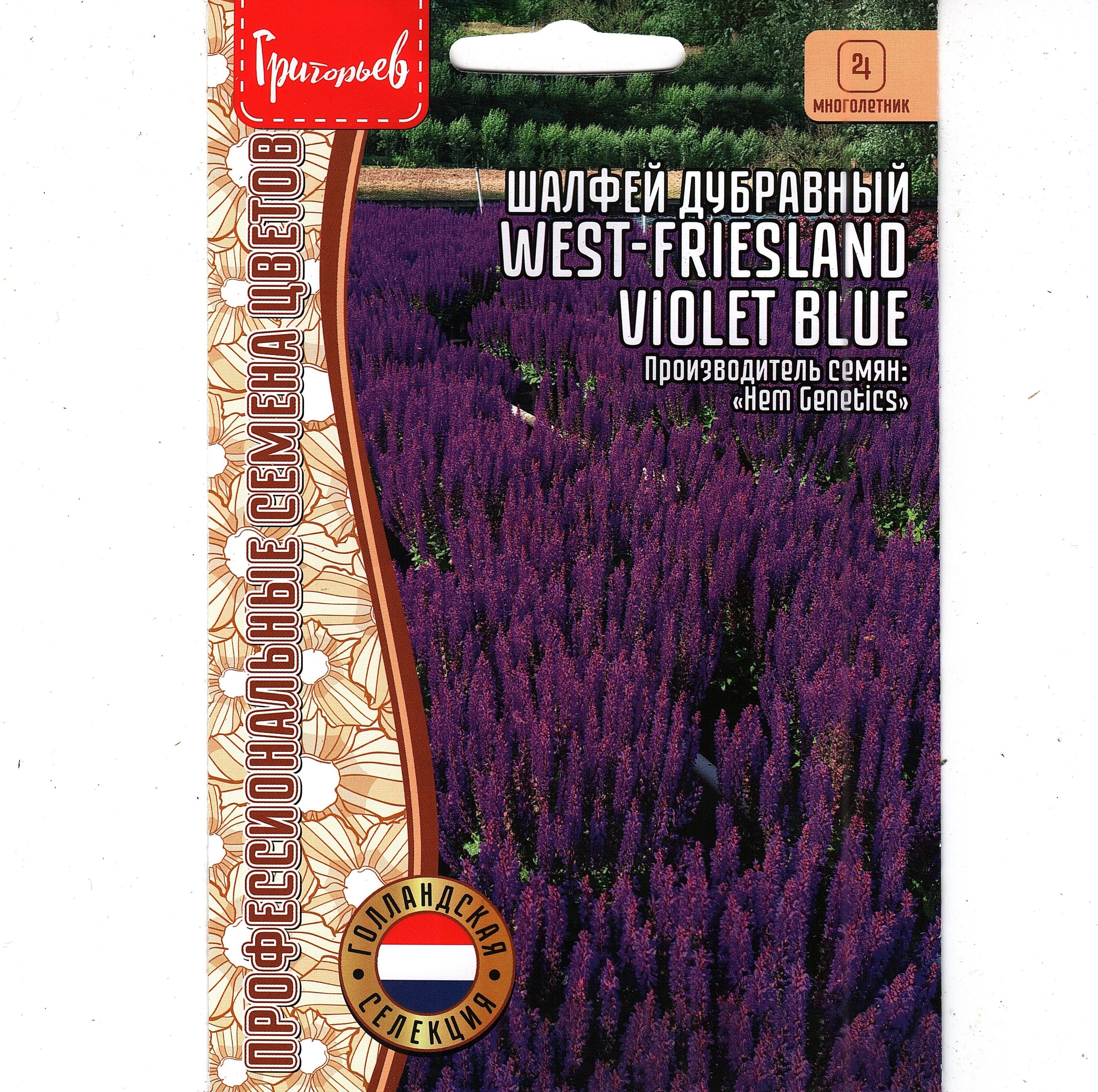 Шалфей дубравный West-friesland violet blue, многолетник ( 1 уп: 20 семян ) годен до 12.2029