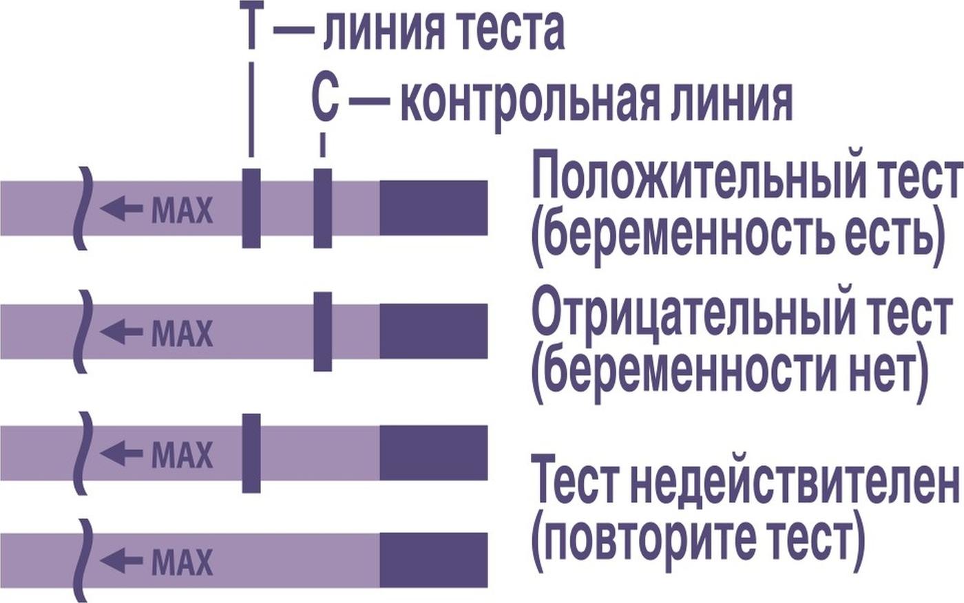 https://cdn1.ozone.ru/s3/multimedia-j/6060223015.jpg