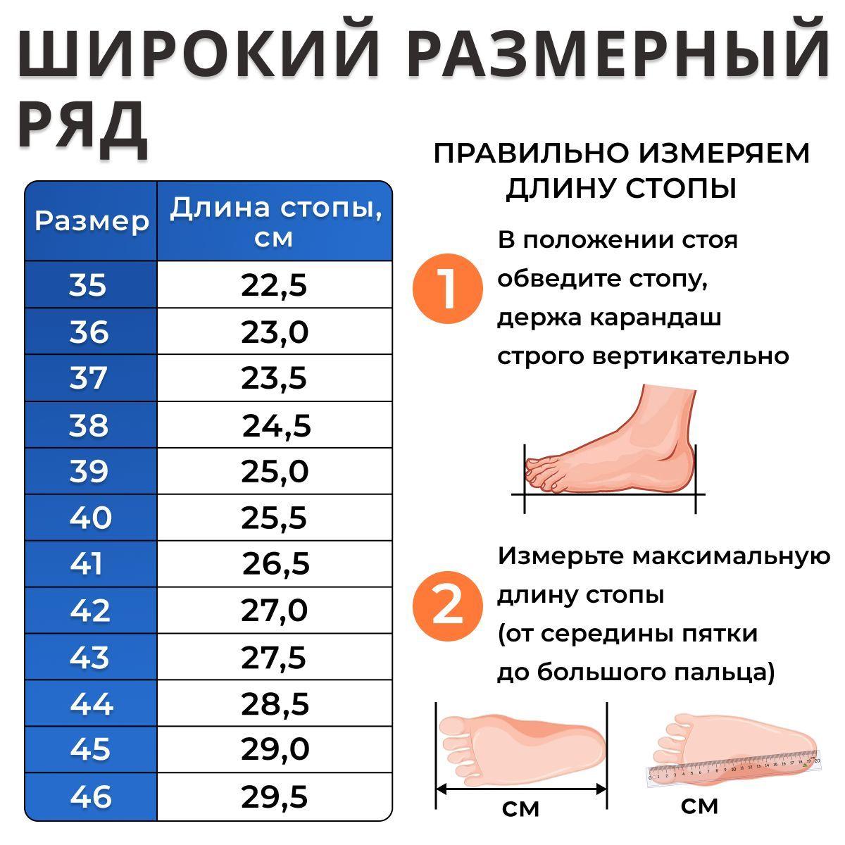 https://cdn1.ozone.ru/s3/multimedia-j/6686526259.jpg