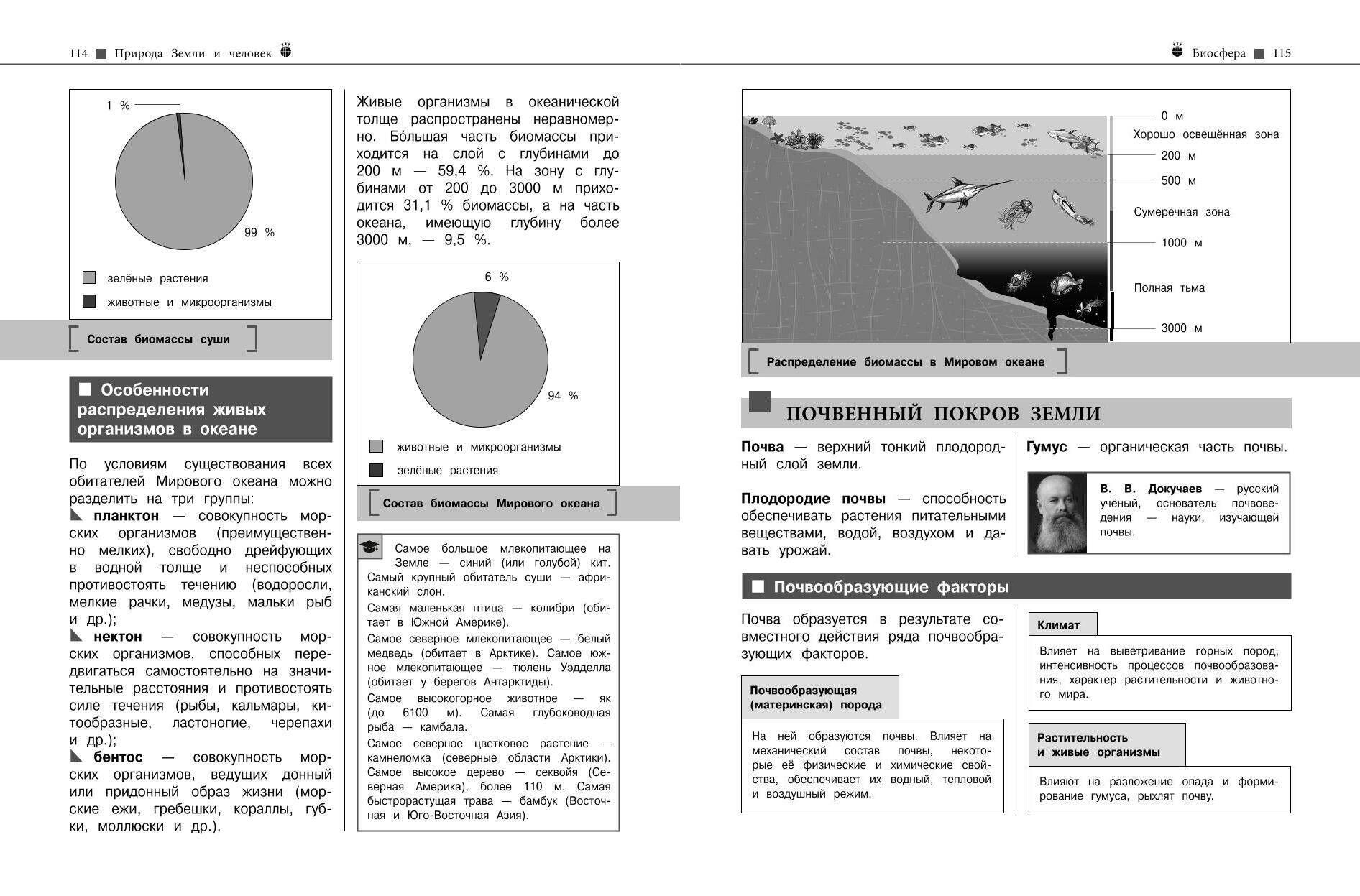 https://cdn1.ozone.ru/s3/multimedia-j/6696962479.jpg