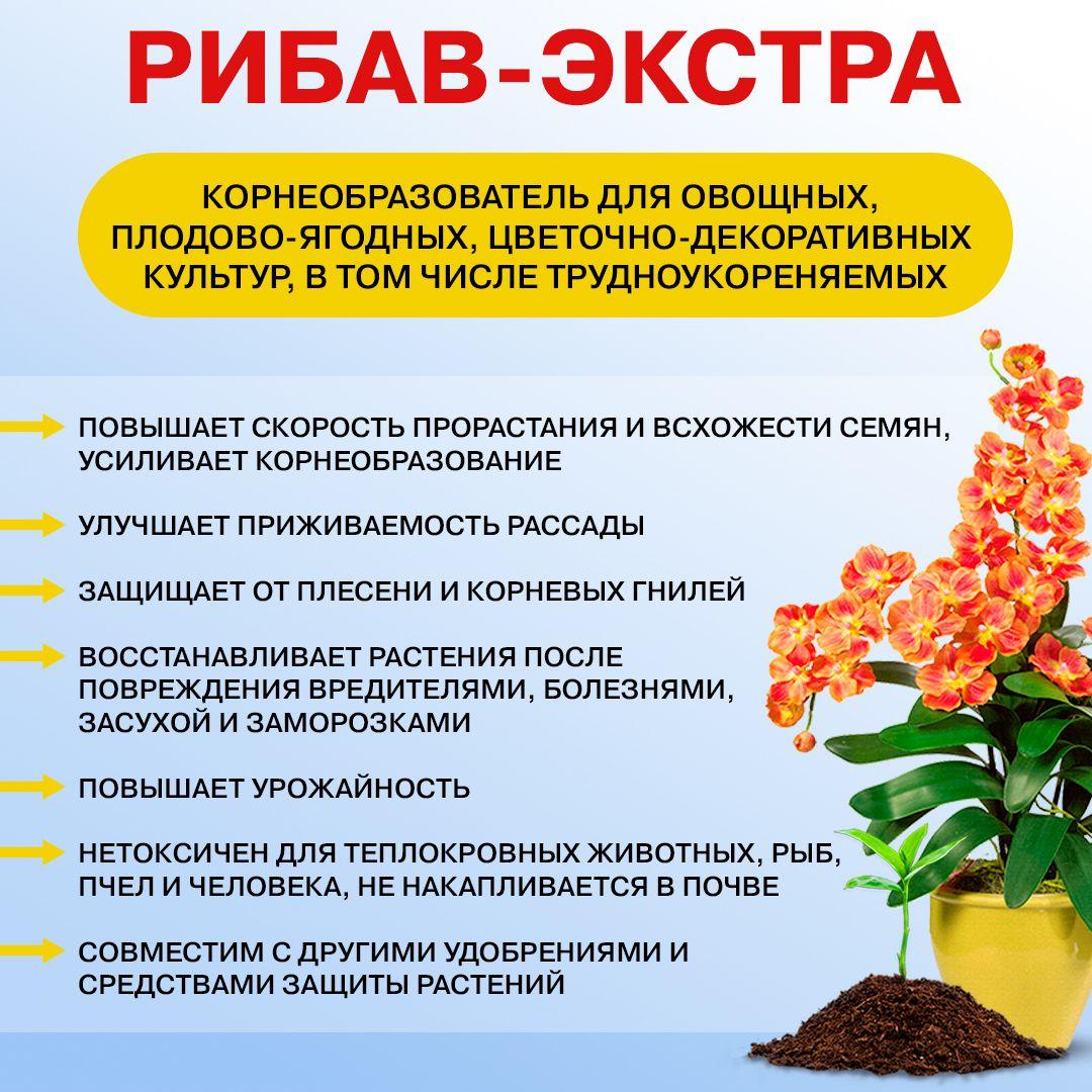 https://cdn1.ozone.ru/s3/multimedia-k/6597292880.jpg