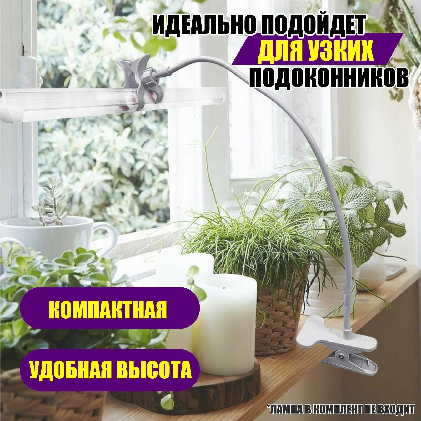 https://cdn1.ozone.ru/s3/multimedia-k/6623198120.jpg