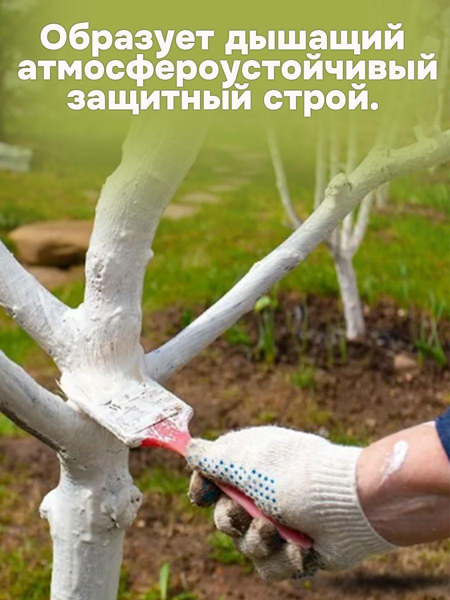 https://cdn1.ozone.ru/s3/multimedia-k/6623224544.jpg