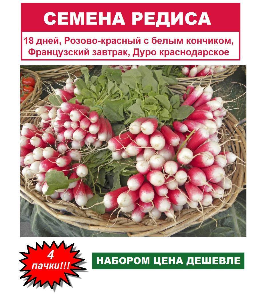 Семена редиса урожайных, раннеспелых сортов (4 упаковки): 18 дней, Розово-красный с белым кончиком, Французский завтрак, Дуро краснодарское