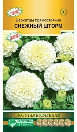 Бархатцы прямостоячие Снежный Шторм, 1 пакет, семена 10 шт, Евросемена