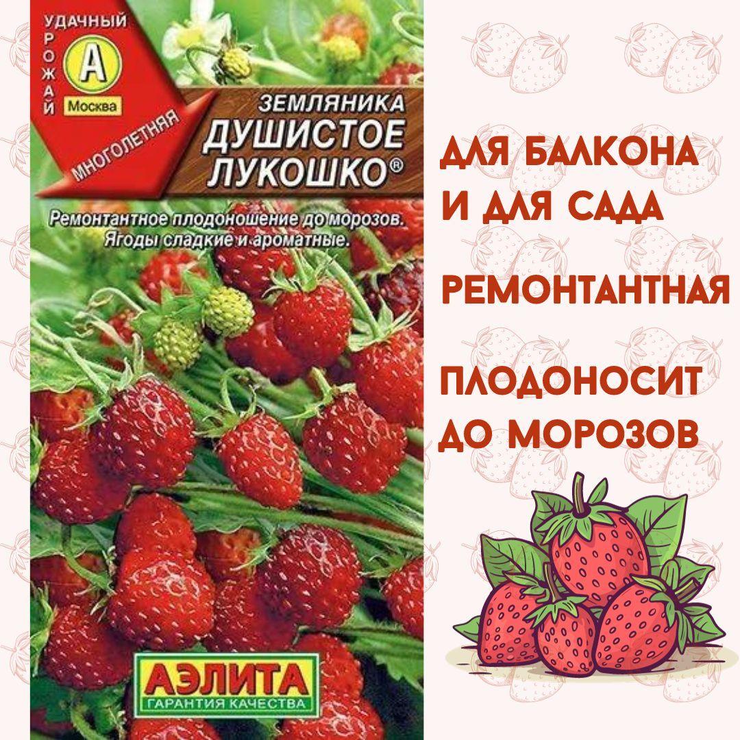 Семена земляники, Земляника ремонтантная ранняя для балкона "Душистое лукошко" 0,04г