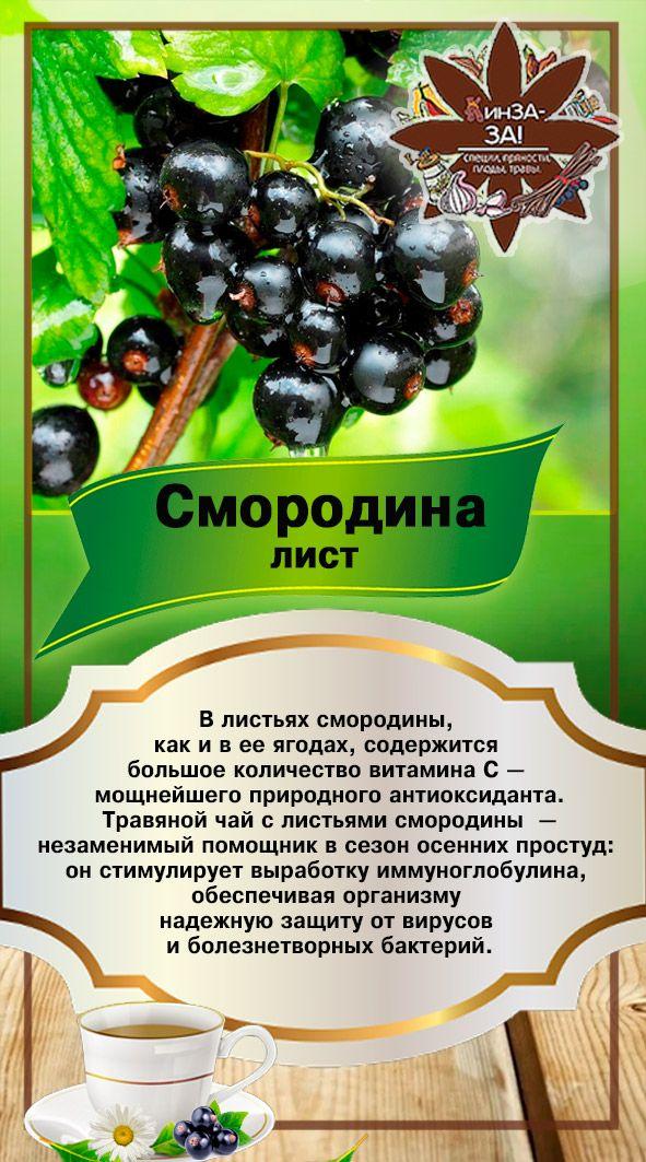 https://cdn1.ozone.ru/s3/multimedia-k/6862563920.jpg