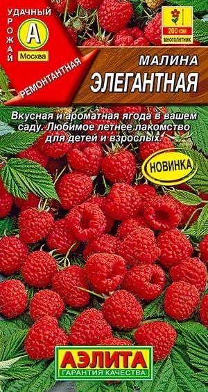 МАЛИНА ЭЛЕГАНТНАЯ. Семена. Вес 20 шт. Ремонтантный сорт. Любимое лакомство для детей и взрослых.