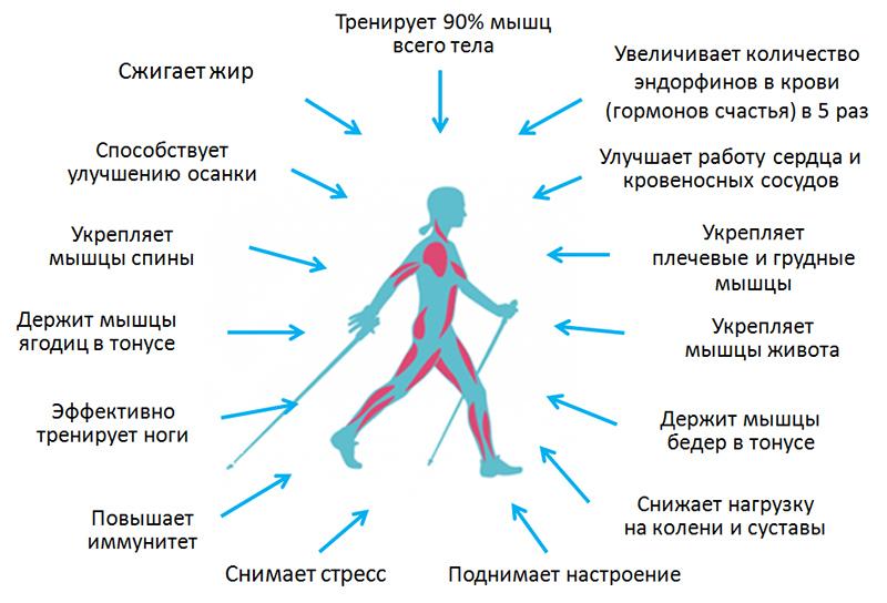 https://cdn1.ozone.ru/s3/multimedia-n/6235549427.jpg