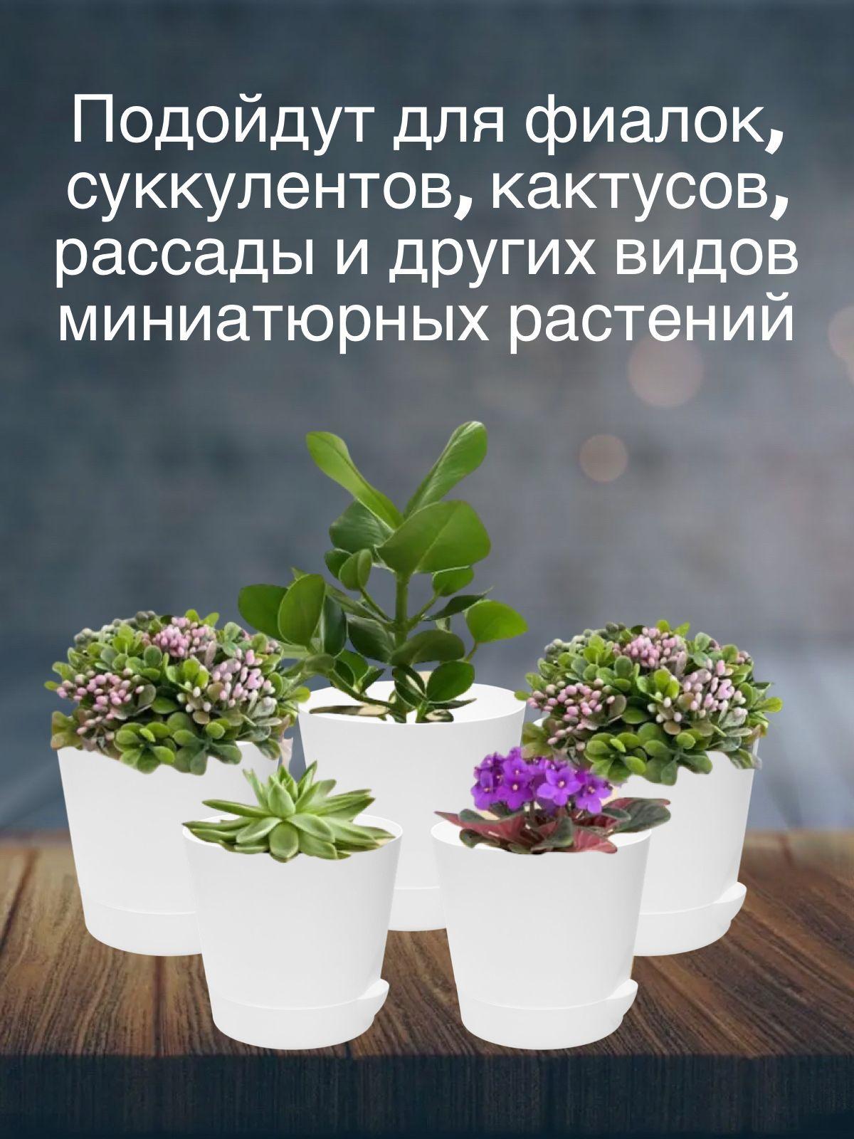 https://cdn1.ozone.ru/s3/multimedia-n/6784928879.jpg